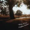 Terry Sartor - Hidden Fences - Single